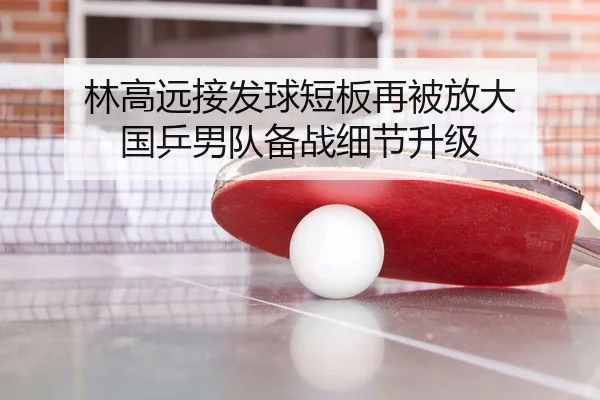 林高远接发球短板再被放大 国乒男队备战细节升级